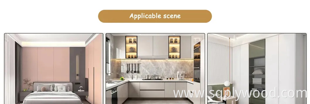 Pet Laminated MDF Board Sublimation MDF Board UV Boards High Glossy Pet Laminated Particleboard for Kitchen Cabinet Fancy MDF PVC Coated Plywood Pet Board